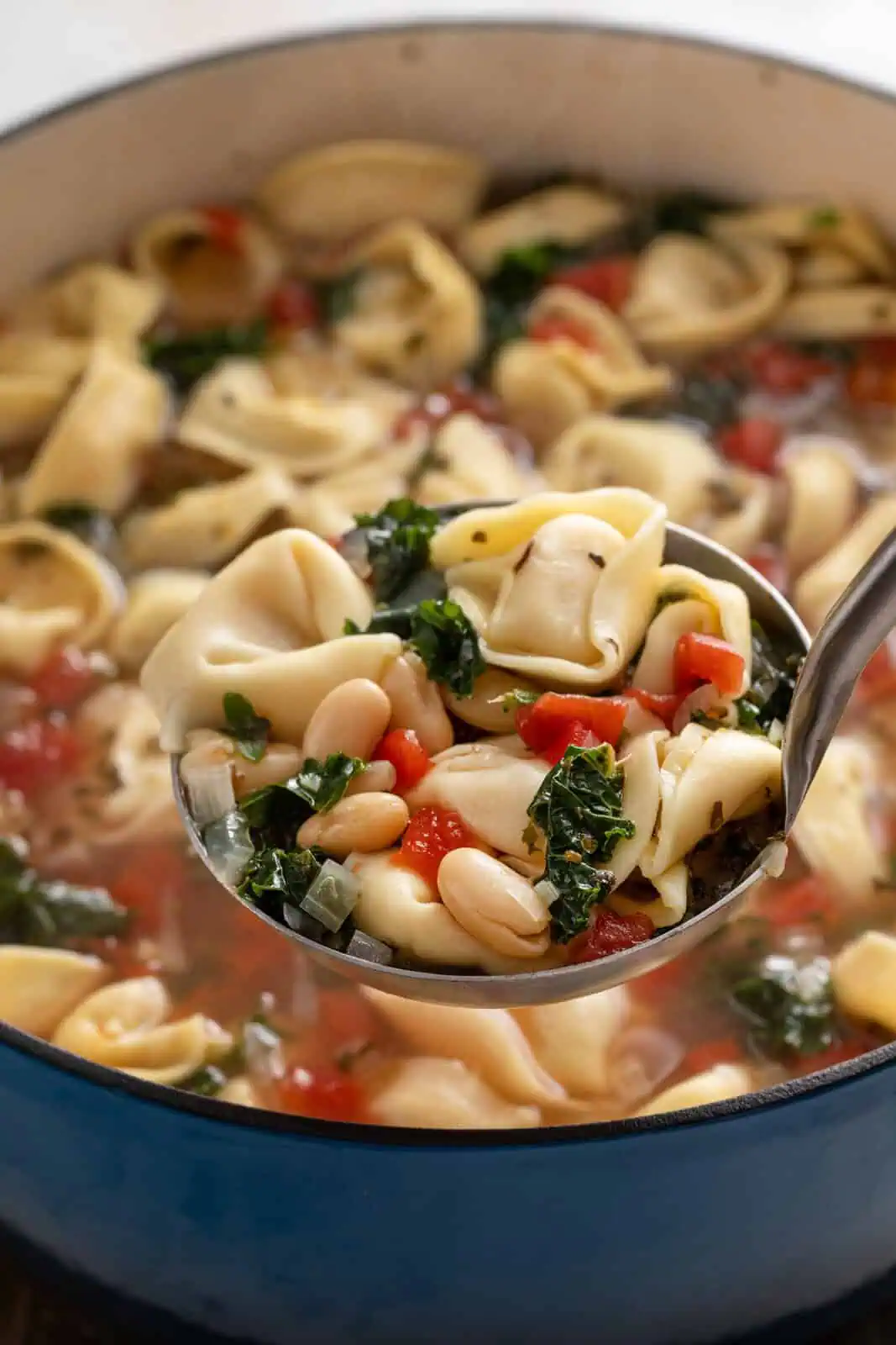 Ladle holding up a serving of tortellini soup over a dutch oven of the soup.