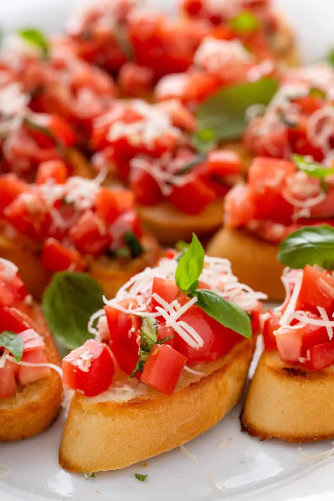 Close up of tomato bruschetta garnished with cheese and basil.